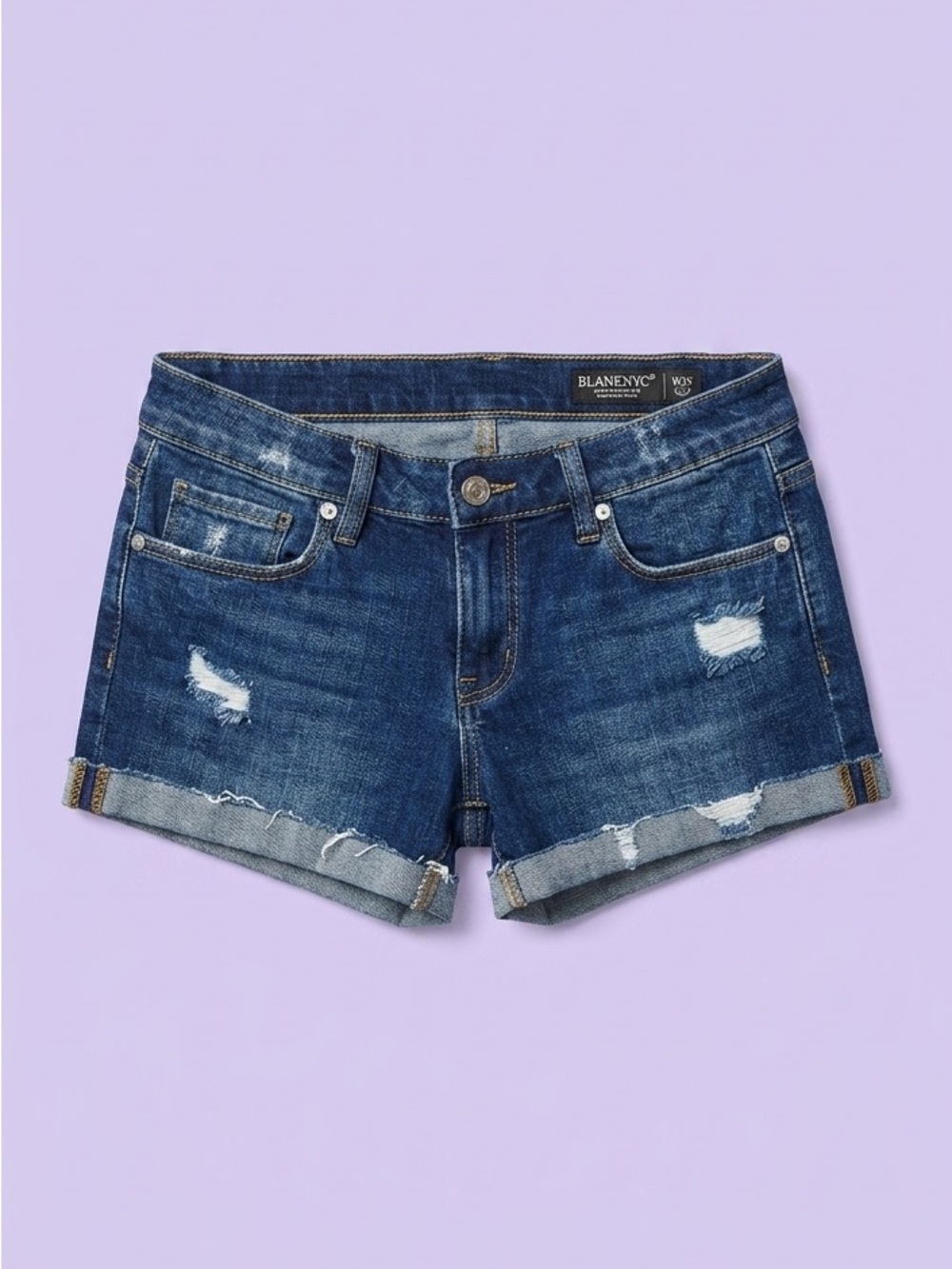 BLANKNYC The Fulton Distressed Denim Cutoff Shorts Size 25